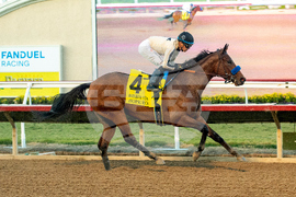 Del Mar Horse Racing