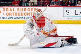 Flames Hurricanes Hockey