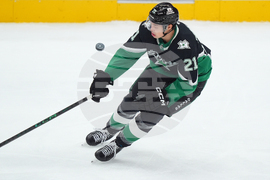 Senators Stars Hockey