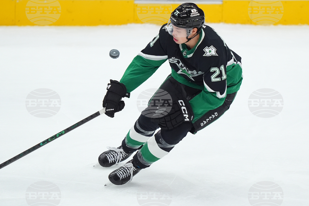 Senators Stars Hockey