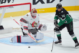 Senators Stars Hockey