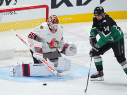 Senators Stars Hockey