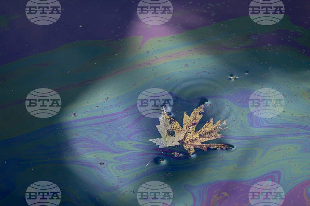 AP Top Photos of the Month November 2025