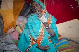 AP Top Photos of the Month November 2025