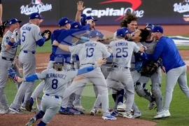 AP Top Photos of the Month November 2025