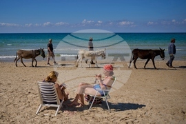 AP Top Photos of the Month November 2025