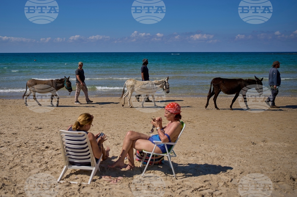 AP Top Photos of the Month November 2025