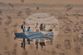 AP Top Photos of the Month November 2025