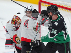 Senators Stars Hockey