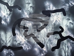 Мартина Вачева, Светлана Мирчева, Кирил Буховски и Мартиан Табаков се събират в изложбата „Нови линии“ в галерия Little Bird Place. Снимка: Екипът на изложбата