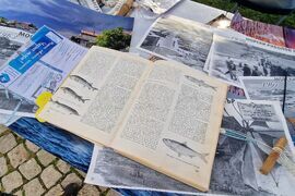 Бургас - рибарско селище Ченгене скеле - рибен фестивал