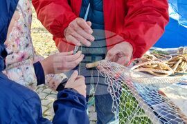 Бургас - рибарско селище Ченгене скеле - рибен фестивал