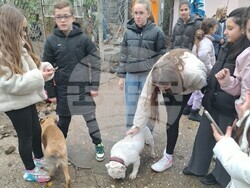 Ученици от СУ "Николай Катранов" на гости в приюта за безстопанствени кучета в Свищов.