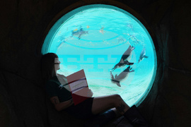 YE Global Best of 2025 Photo Gallery