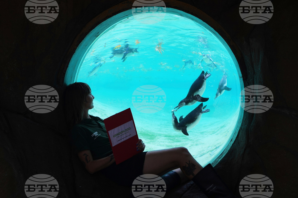 YE Global Best of 2025 Photo Gallery