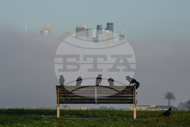 YE Global Best of 2025 Photo Gallery