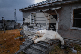 YE Global Best of 2025 Photo Gallery