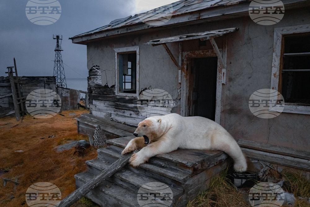 YE Global Best of 2025 Photo Gallery