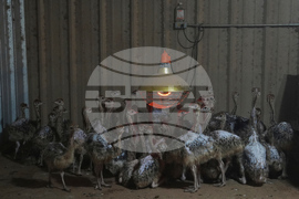 YE Global Best of 2025 Photo Gallery