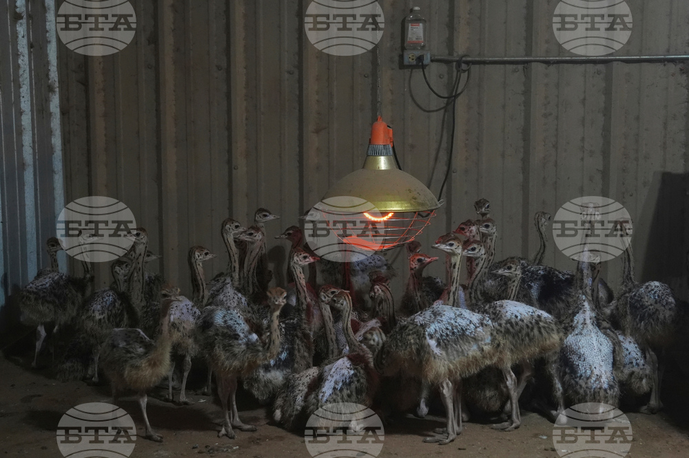 YE Global Best of 2025 Photo Gallery