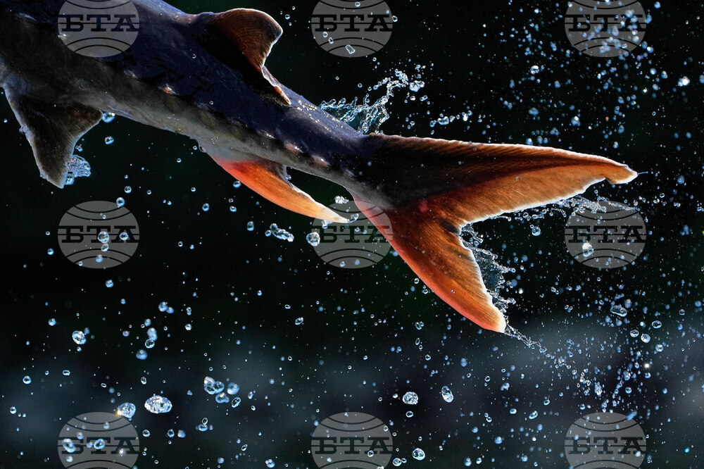 YE Global Best of 2025 Photo Gallery