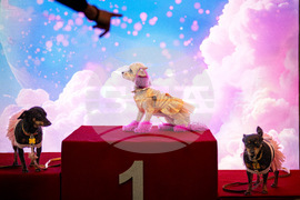 YE Global Best of 2025 Photo Gallery