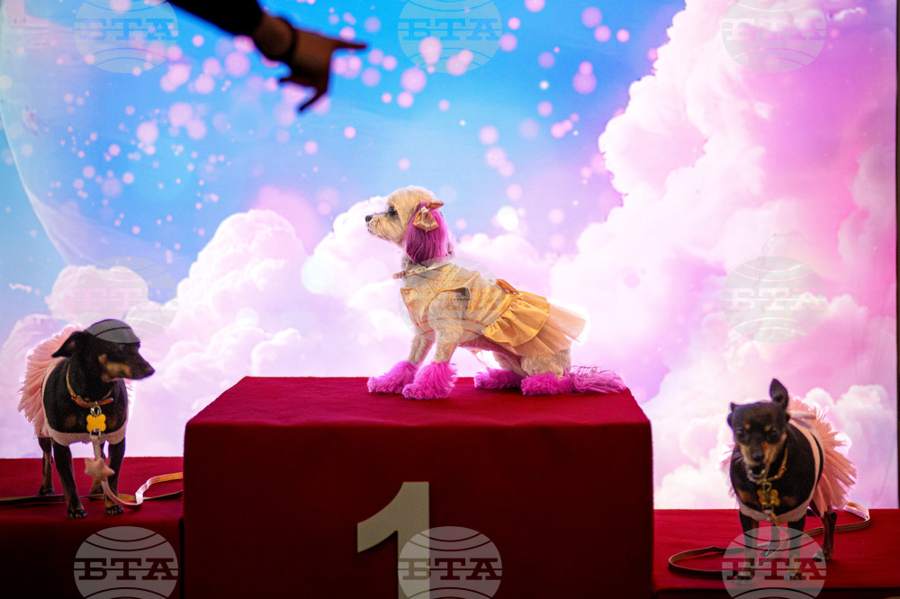 YE Global Best of 2025 Photo Gallery