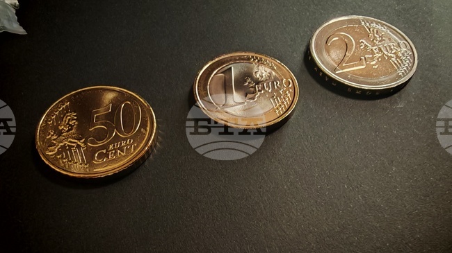 Виртуалните сметки за митнически задължения ще се превалутират автоматично в евро на 1 януари 