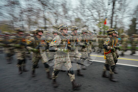 Romania National Day