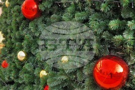 Шумен - благотворителен коледен базар 