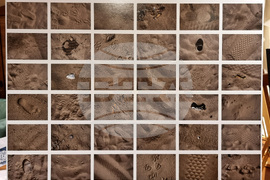 Варна - школа „Дедал“ - изложба - пленер „Море в ремонт“