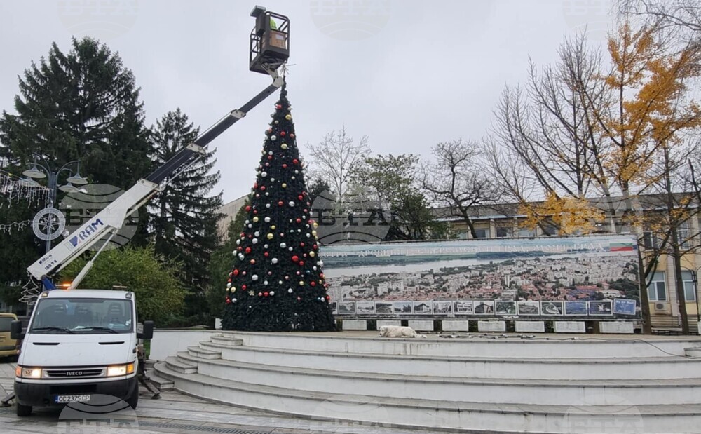 На 5 декември ще запалят светлините на коледната елха в Силистра