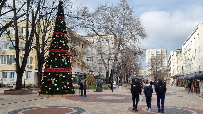 Светлините на коледното дърво в Добрич ще бъдат включени на 5 декември