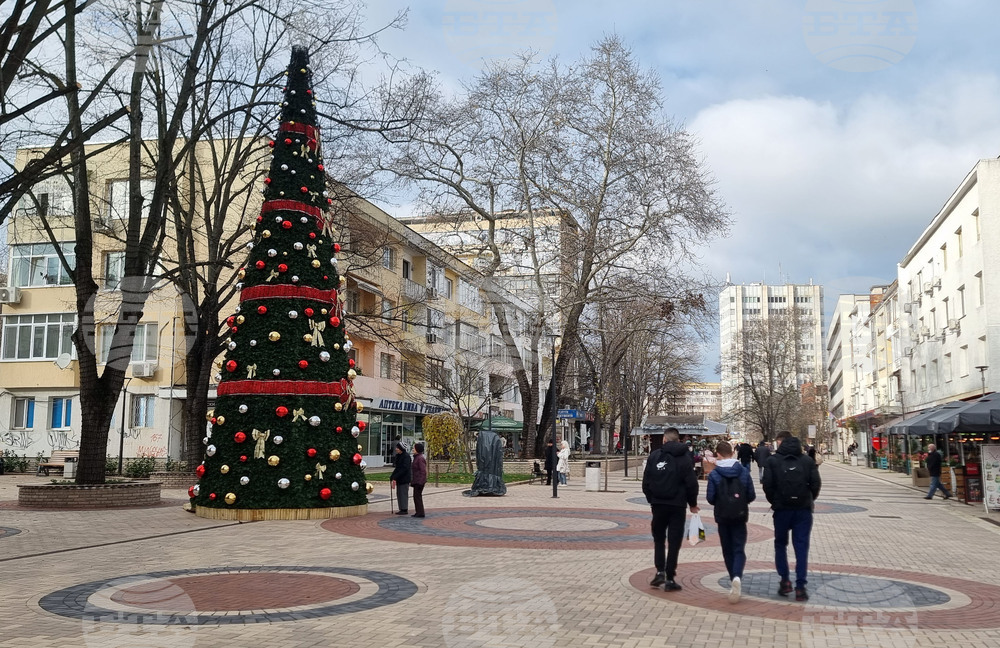 Светлините на коледното дърво в Добрич ще бъдат включени на 5 декември
