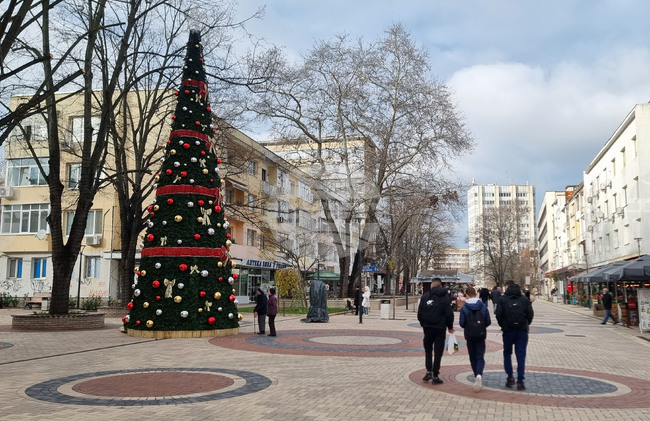 Добрич - коледна украса - подготовка