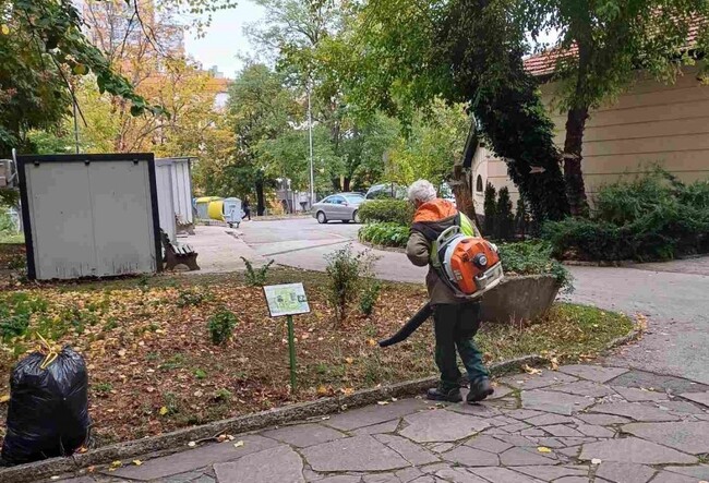 Общинското предприятие започва кастрене на клони в Шумен, затрудняващи градския транспорт