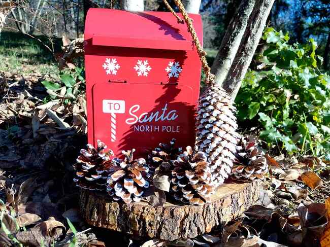 За първи път Зоопаркът в Стара Загора организира Коледен базар