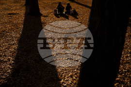 Japan Autumn Daily Life