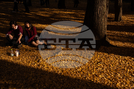 Japan Autumn Daily Life