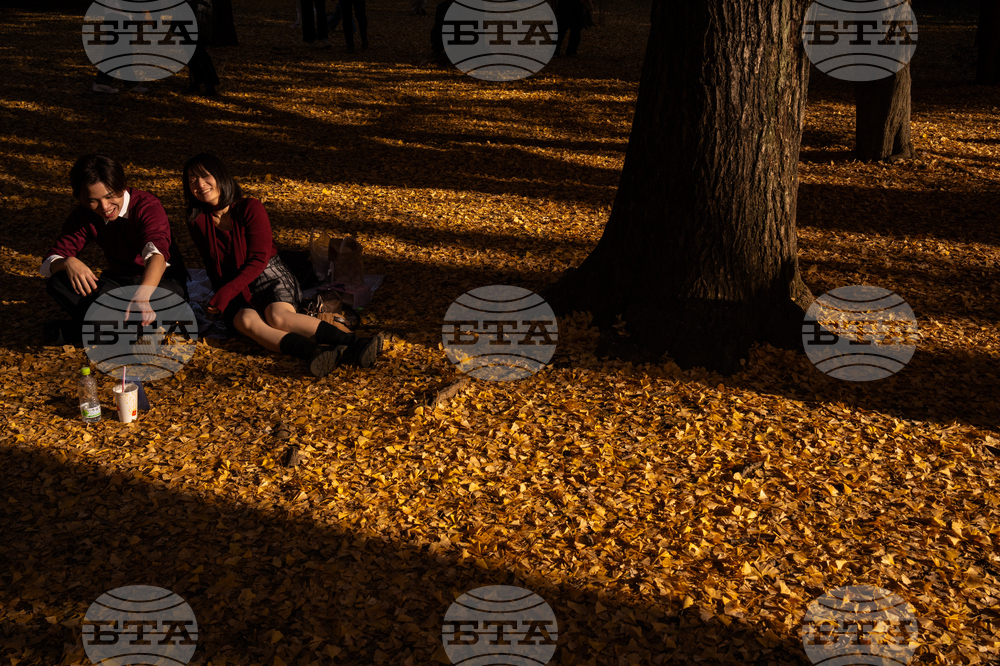 Japan Autumn Daily Life