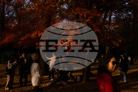 Japan Autumn Daily Life