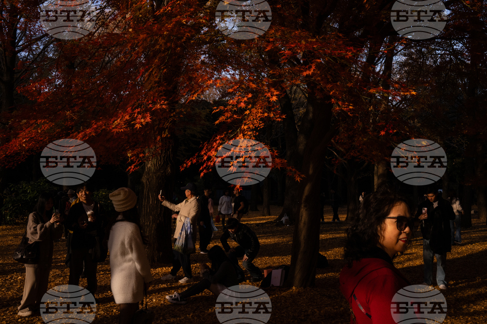 Japan Autumn Daily Life