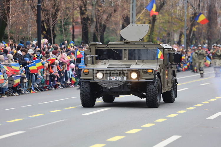 Romanian Acting National Defence Minister Compares Country's Defence Industry to "Swamp That Needs to Be Cleaned Up"