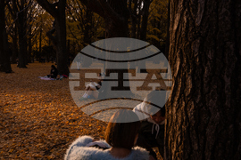 Japan Autumn Daily Life