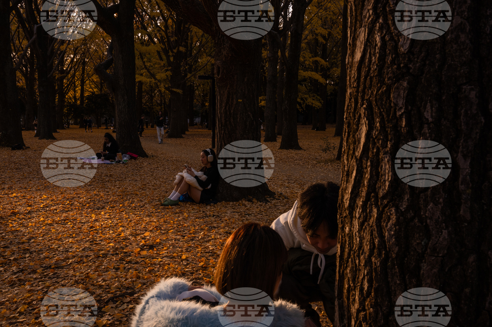 Japan Autumn Daily Life