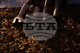 Japan Autumn Daily Life