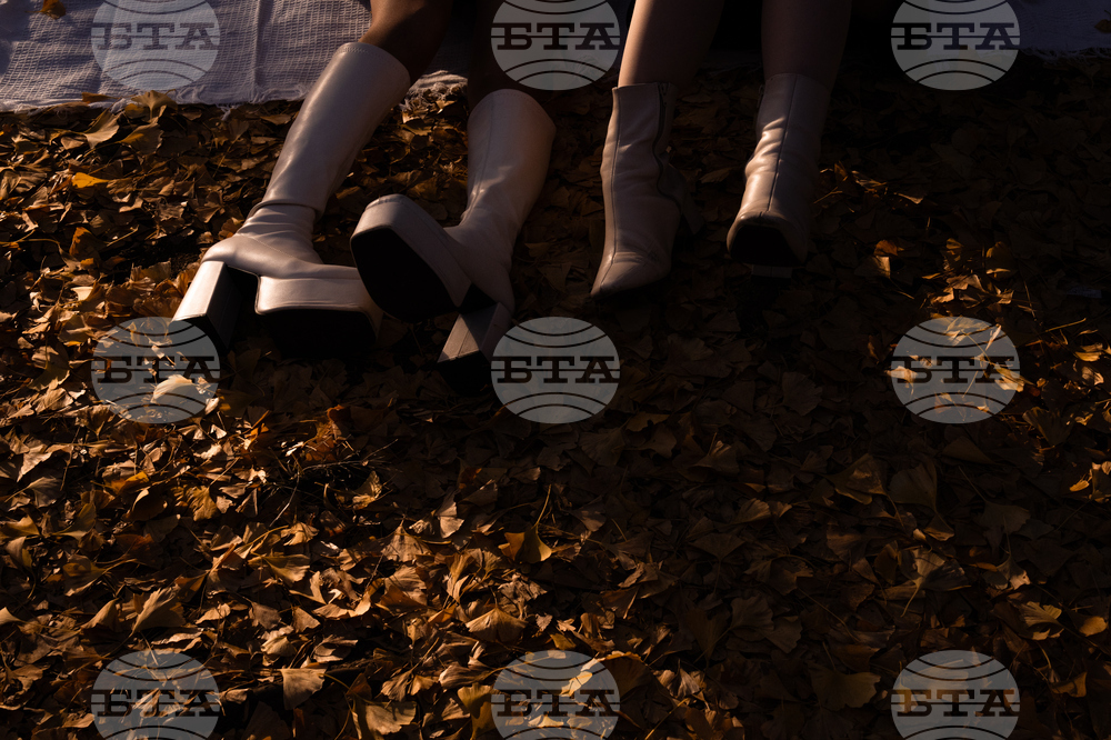 Japan Autumn Daily Life