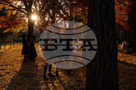 Japan Autumn Daily Life