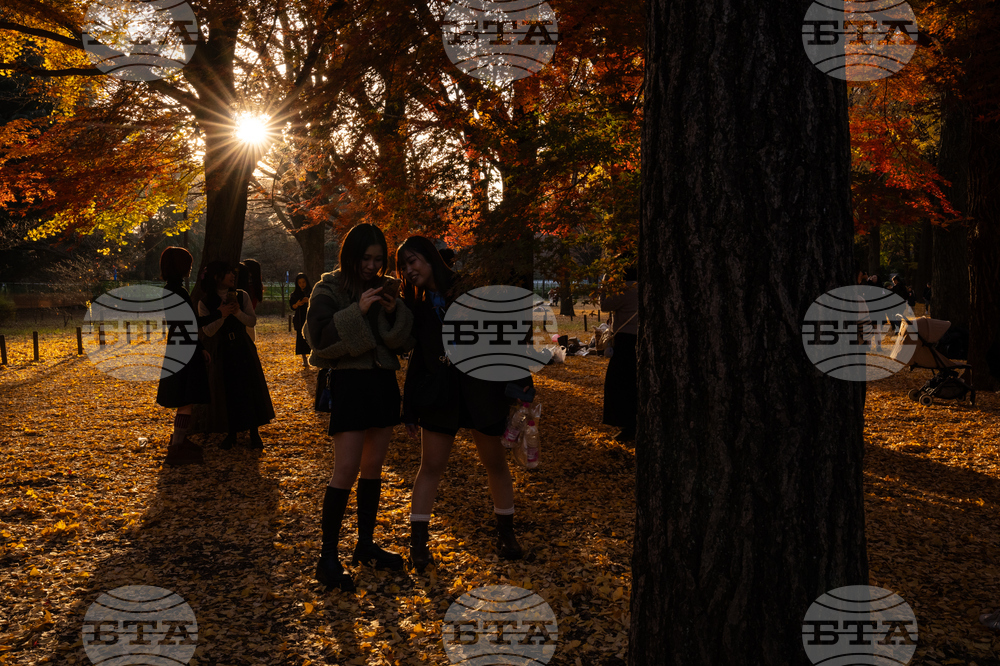 Japan Autumn Daily Life