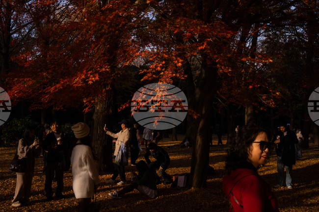APTOPIX Japan Autumn Daily Life